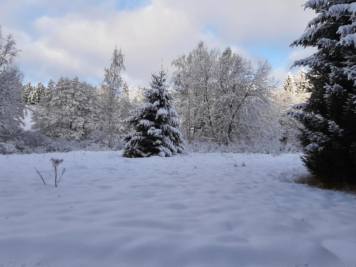 Chalet Waldstadl, Andrea'S Woidhaisl Arnbruck Dış mekan fotoğraf