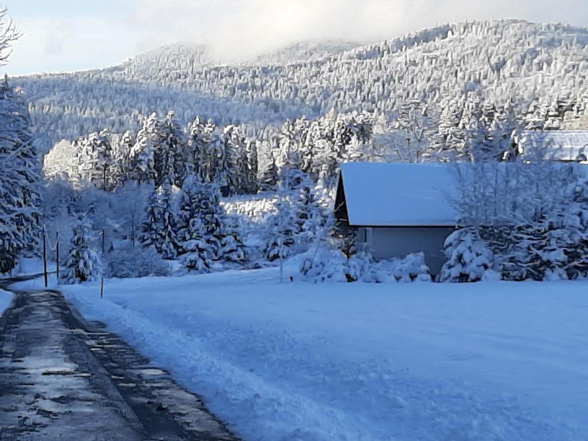 Chalet Waldstadl, Andrea'S Woidhaisl Arnbruck Dış mekan fotoğraf