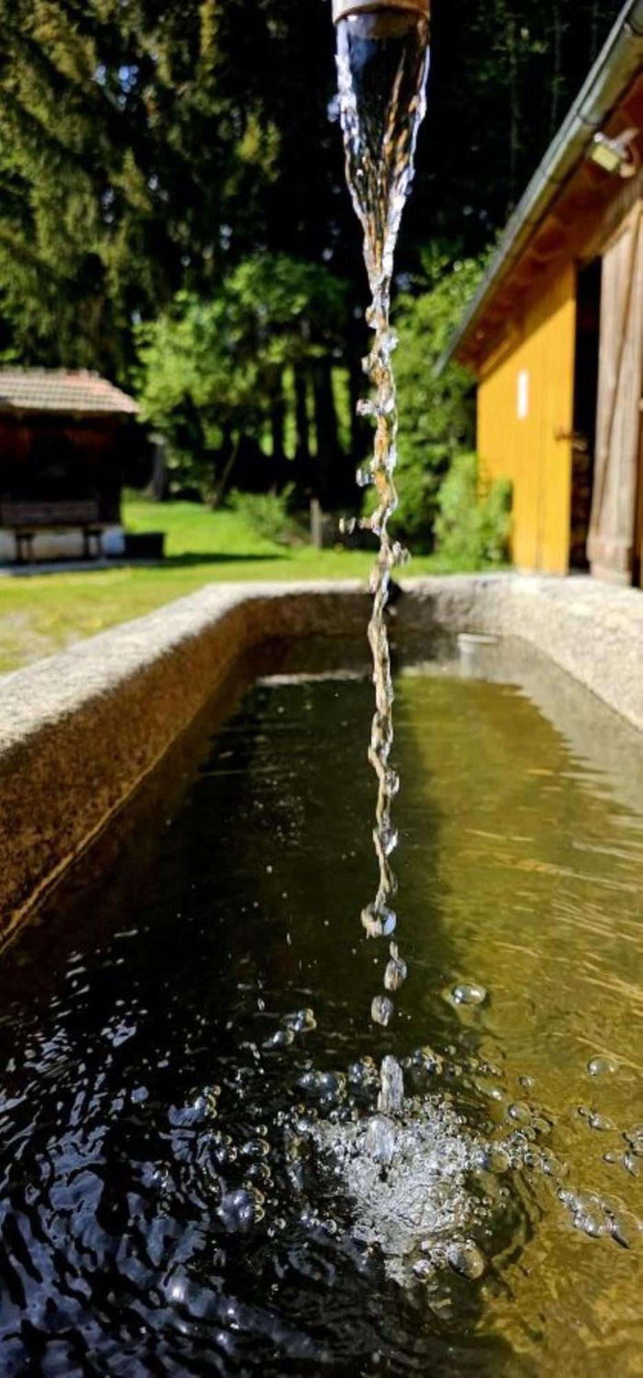 Chalet Waldstadl, Andrea'S Woidhaisl Arnbruck Dış mekan fotoğraf
