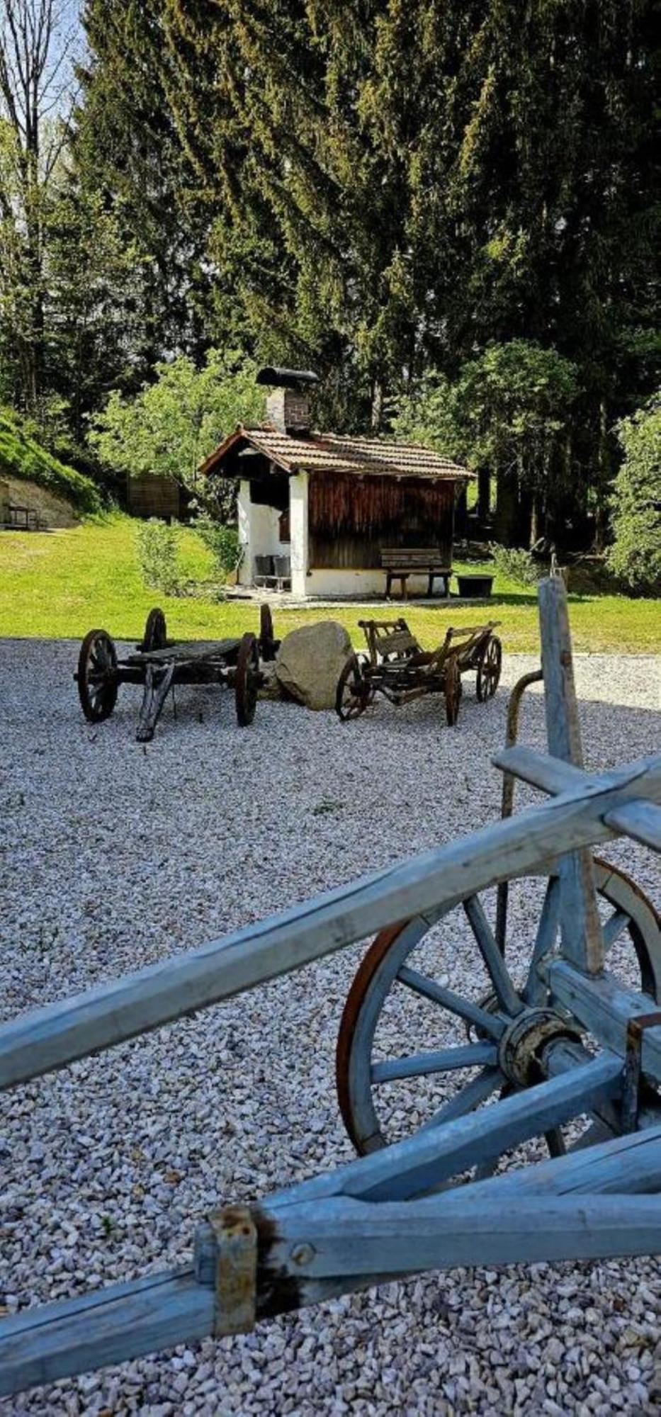 Chalet Waldstadl, Andrea'S Woidhaisl Arnbruck Dış mekan fotoğraf